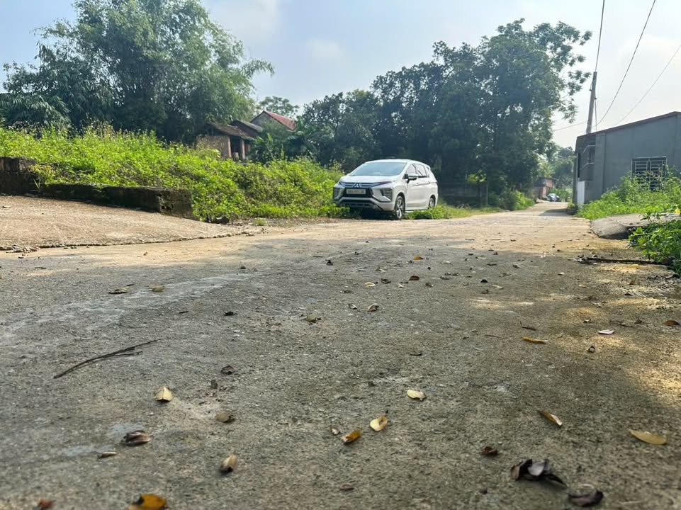 Đất thổ cư Hướng Đạo, Tam Dương 41m² giá chỉ 100 triệu - Cơ hội đầu tư hấp dẫn!