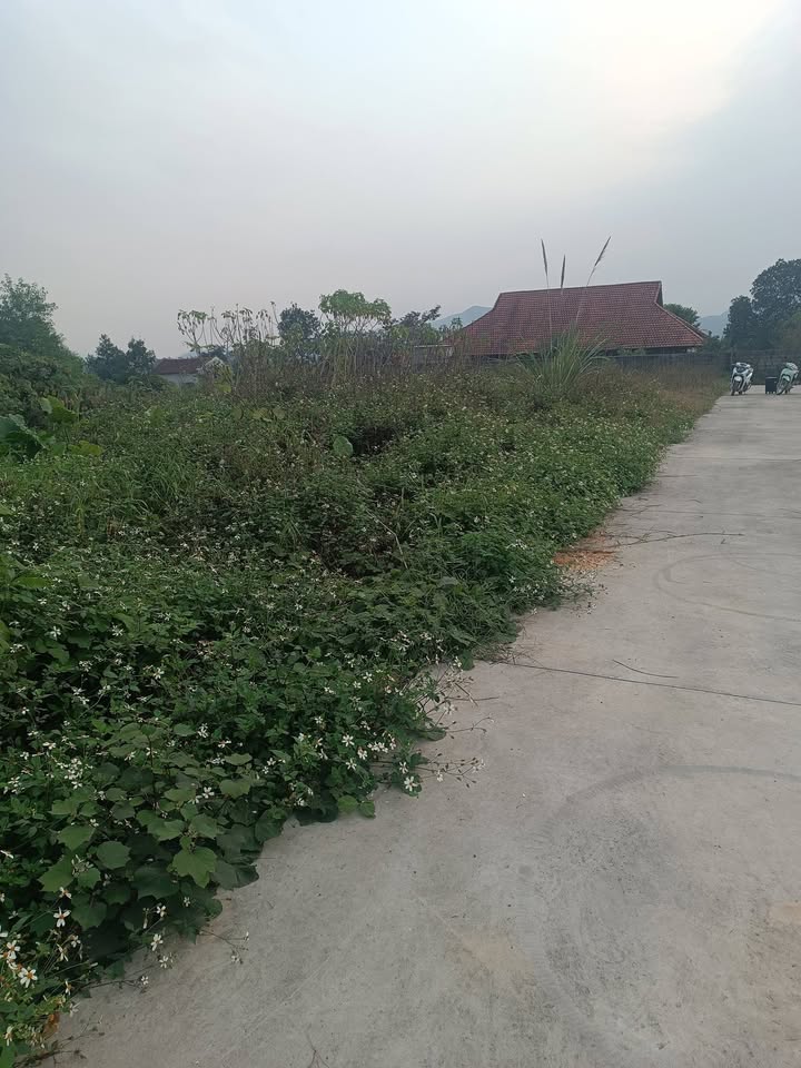 Đất ở Tân Cương Thái Nguyên 100m² giá chỉ 700 triệu - Đầu tư hấp dẫn!