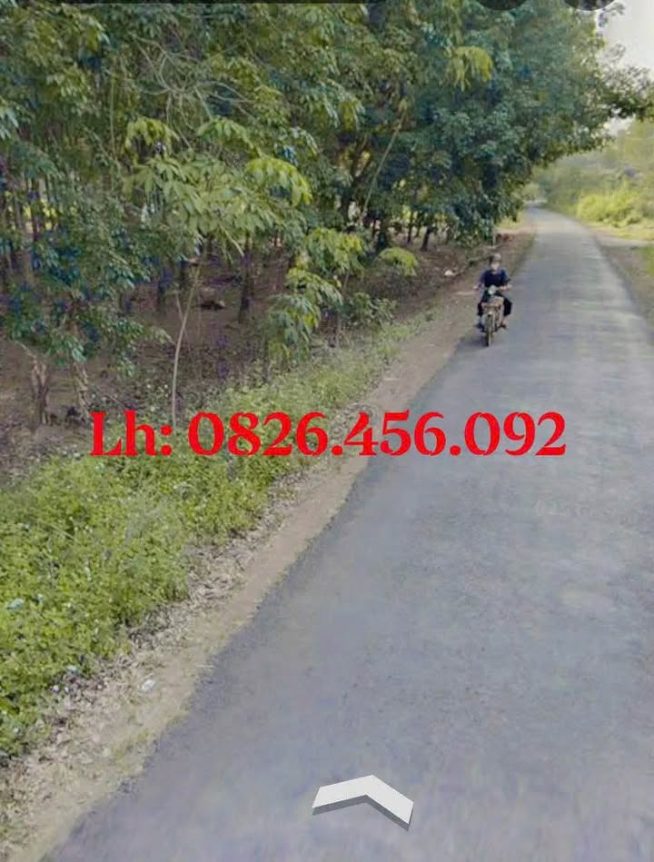 Đất Farm 1ha Tân Lợi, Đồng Phú - Giá tốt, đường lớn!