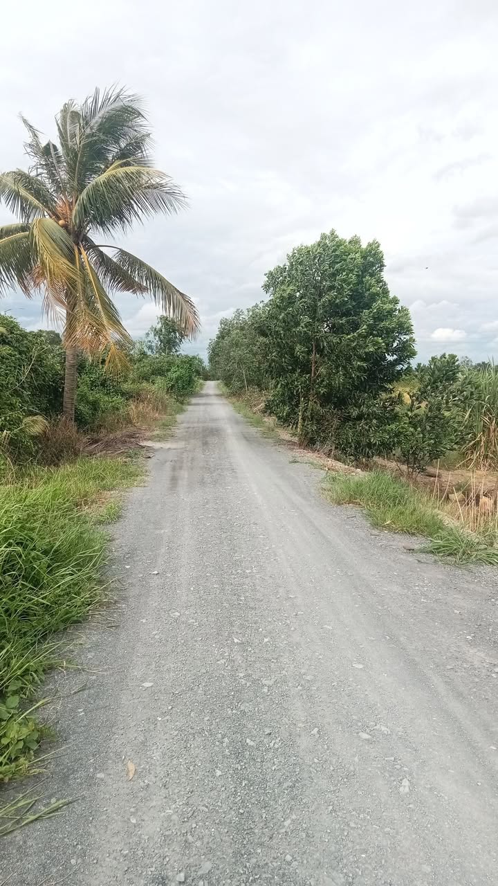 Đất nền xã Bình Đức, huyện Bến Lức, 1100m² giá 750 triệu - Sổ hồng công chứng ngay!