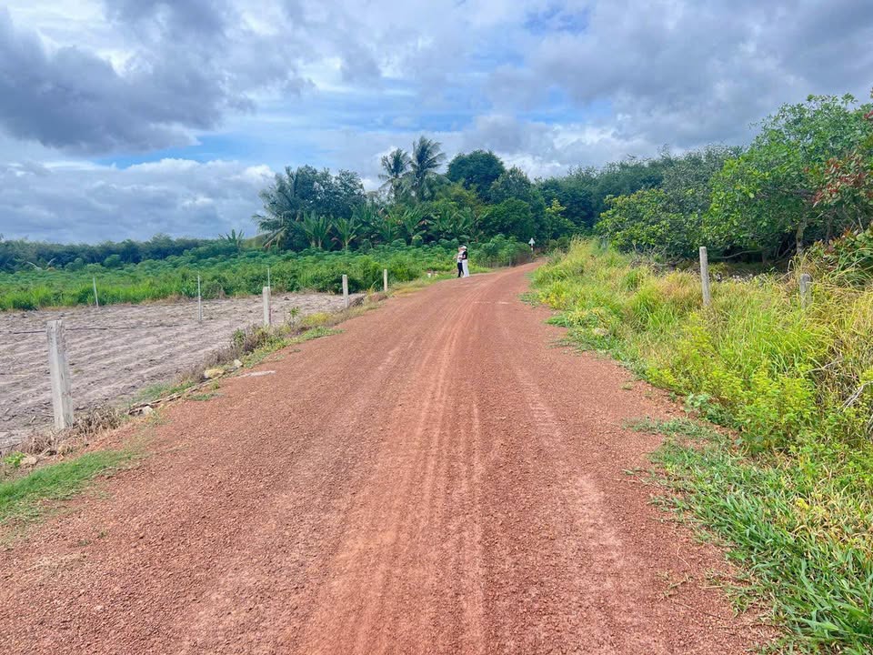 Đất nền Xã Tân Đông, Huyện Tân Châu, Tây Ninh 7500m² giá 1 tỷ 550 triệu - Cơ hội đầu tư hiếm có!