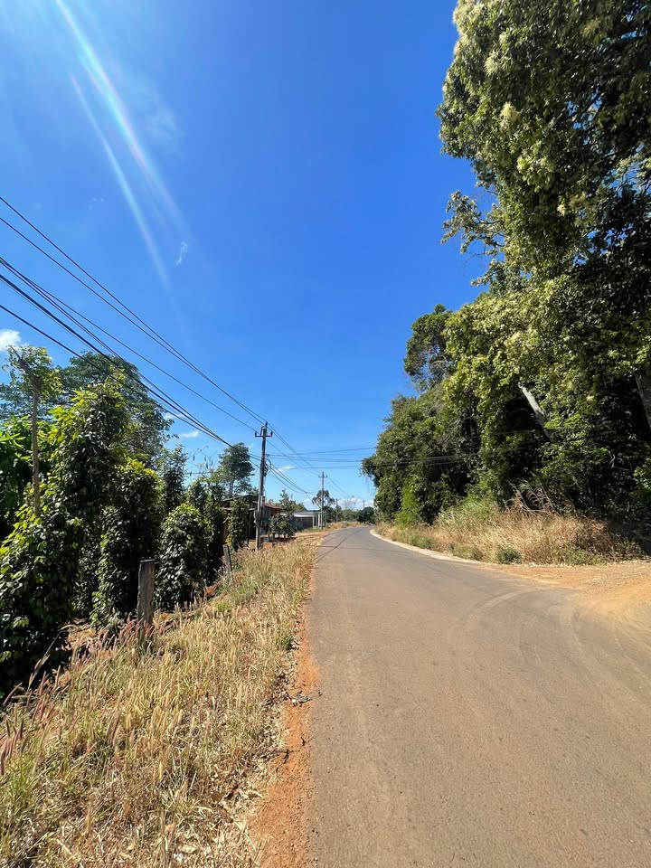 Đất thổ cư tại Kiến Thành, Đắk Nông 450m² giá 4.95 tỷ - Đường nhựa lớn kế bên trường Đoàn Thị Điểm