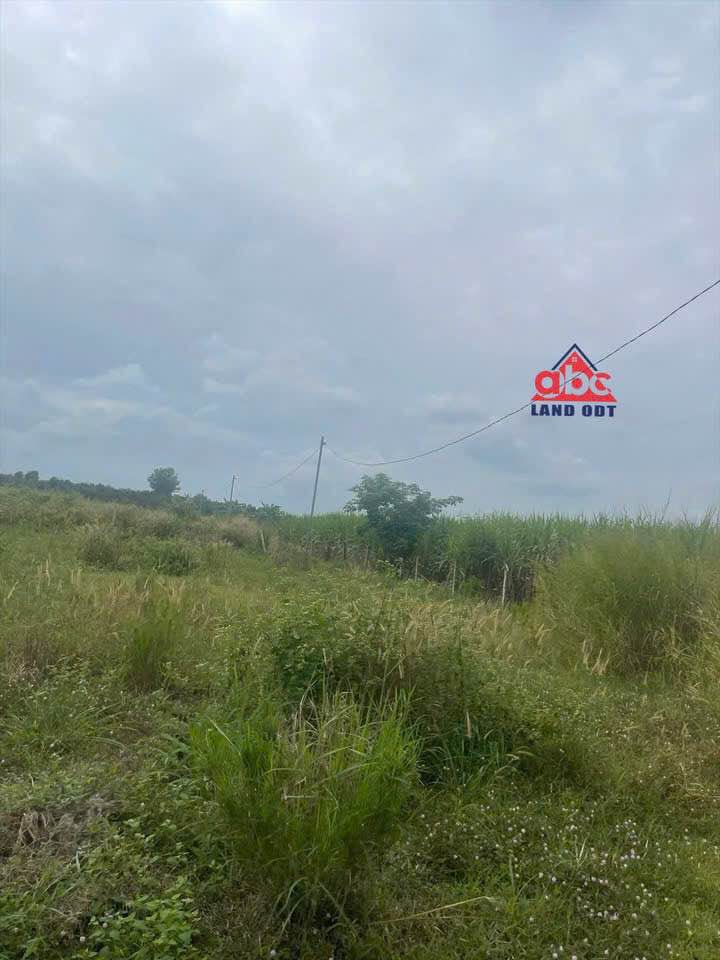 Quỹ đất xây dựng nhà xưởng 35.000m² tại xã Tân An, Vĩnh Cửu giá 42 tỷ - Pháp lý rõ ràng!