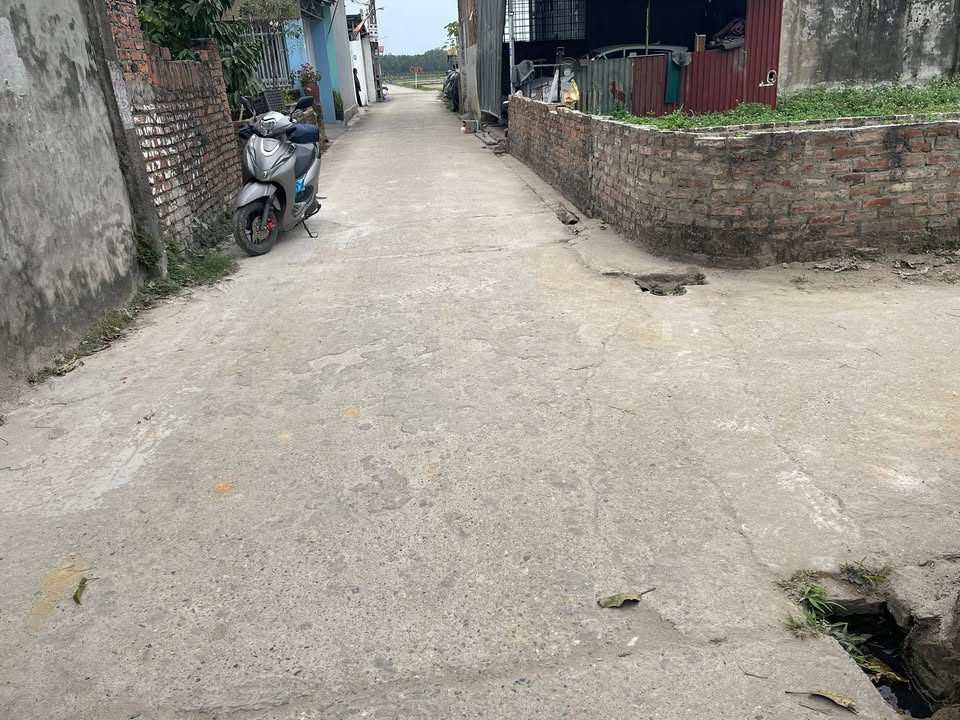 Đất nền Quang Tiến, Sóc Sơn 95.6m² giá 3 tỷ - Sổ đỏ chính chủ, đầu tư lý tưởng!