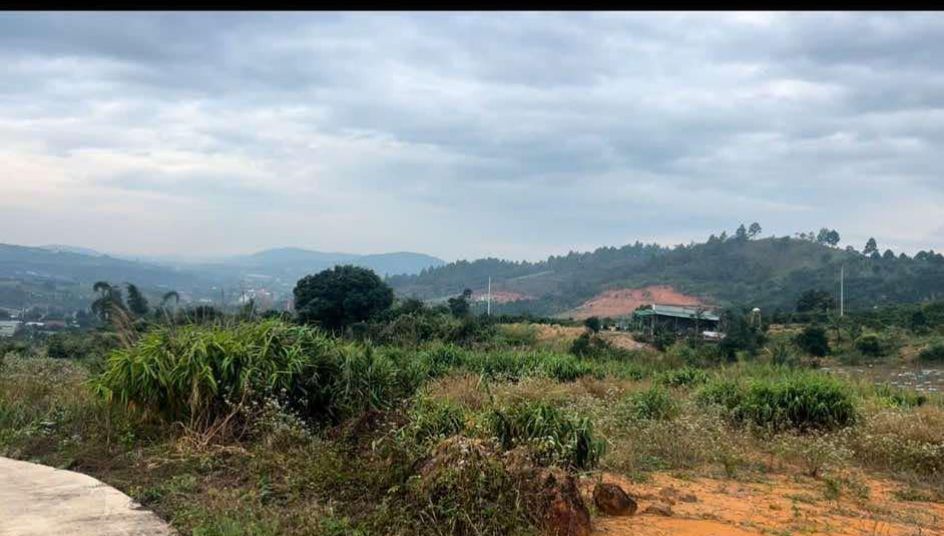 Đất nền Xã Đông Thanh, Huyện Lâm Hà 531m² giá 800 triệu - Cơ hội đầu tư hấp dẫn!