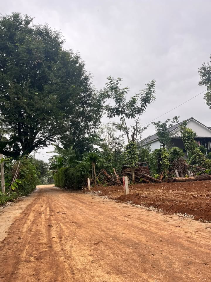 Đất nền 3 lô liền kề tại xã Ea Ktur, 150m², giá 900 triệu - Đầu tư sinh lời ngay!