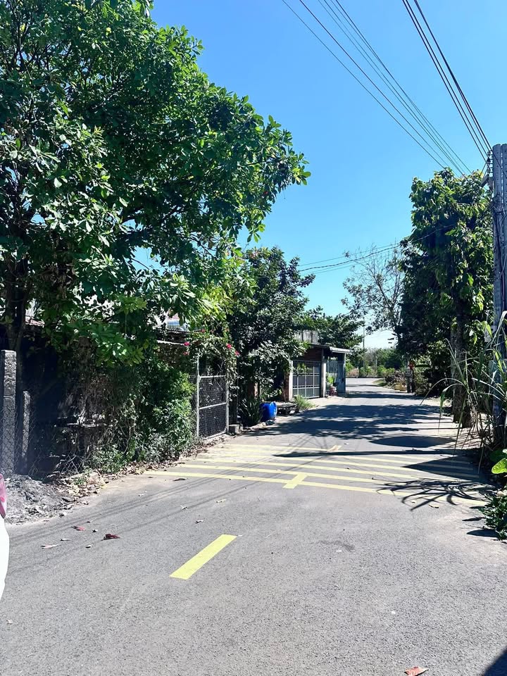 Nhà cấp 4 Xã Vĩnh Hoà, Huyện Phú Giáo, 154m² giá 1.25 tỷ - Mặt tiền nhựa thông thuận lợi!