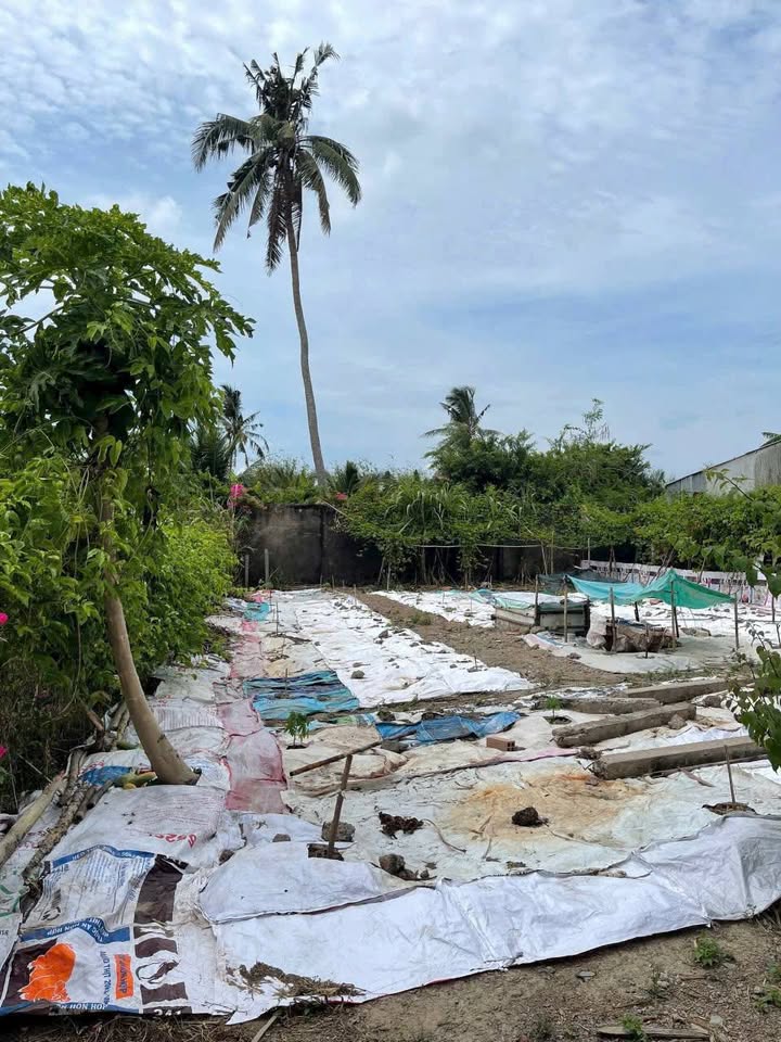 Đất thổ cư tại Long Đức, 100m² giá 370 triệu - Hướng Nam, ô tô tới nơi!