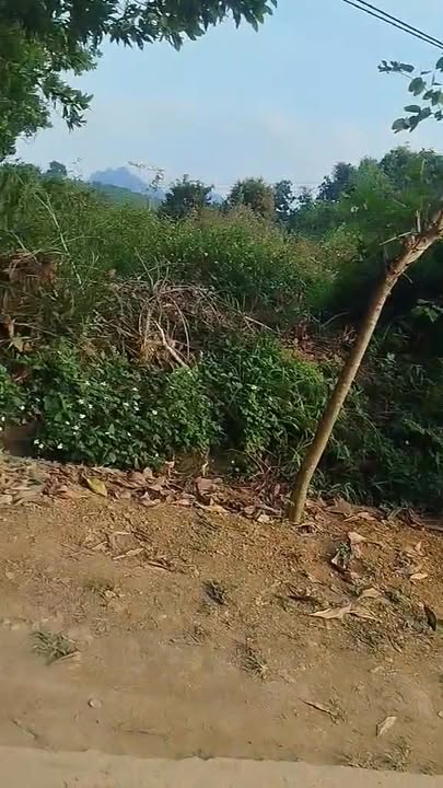 Đất nền Huyện Lạc Thủy 1300m² - Khu dân cư đông đúc, giá thỏa thuận!