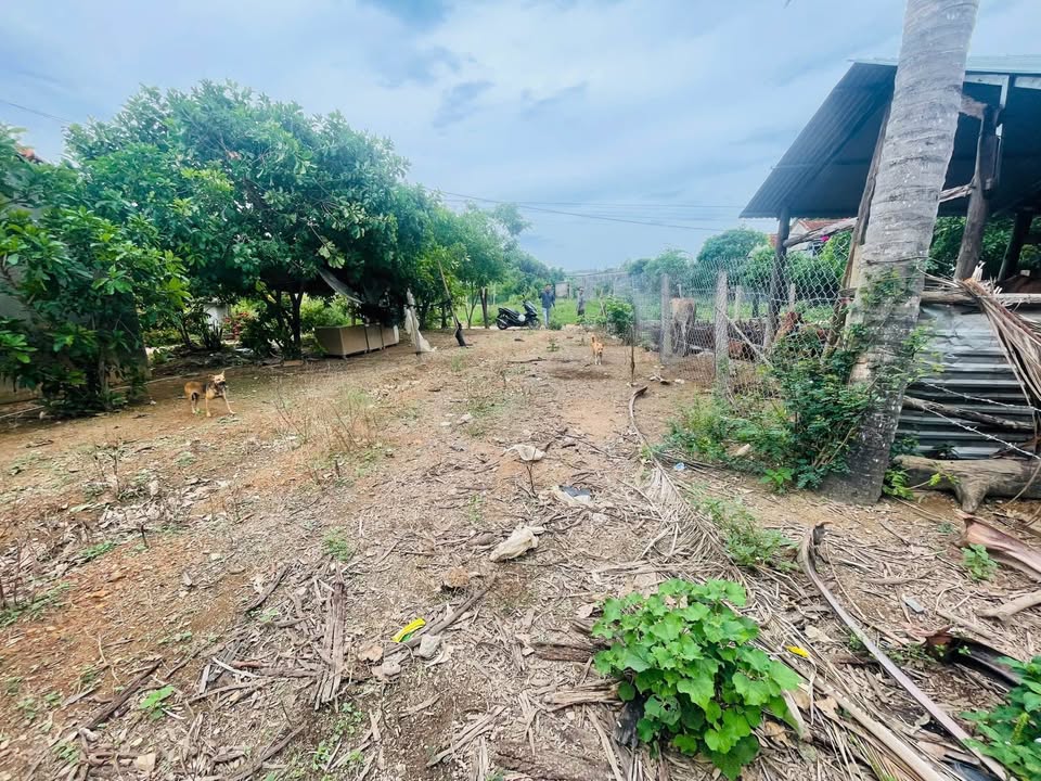 Đất nền khu dân cư phường Nam Ninh Hòa 178,6m² giá 400 triệu - Tiềm năng phát triển cao!