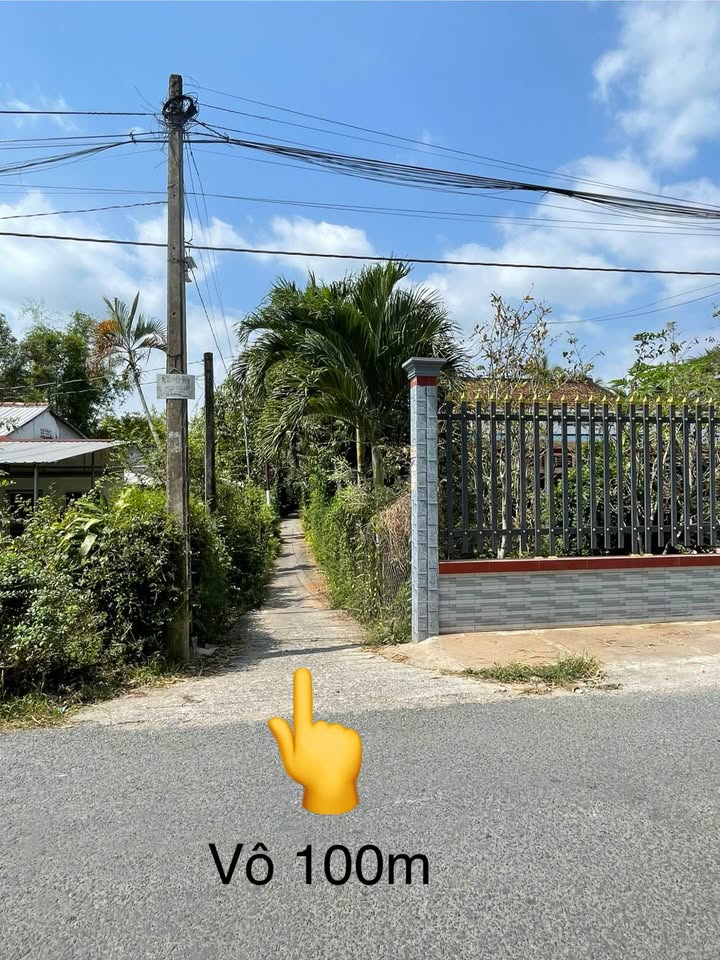 Đất cây lâu năm 729.1m² tại Phước Hậu, Vĩnh Long - Chính chủ cần bán gấp!