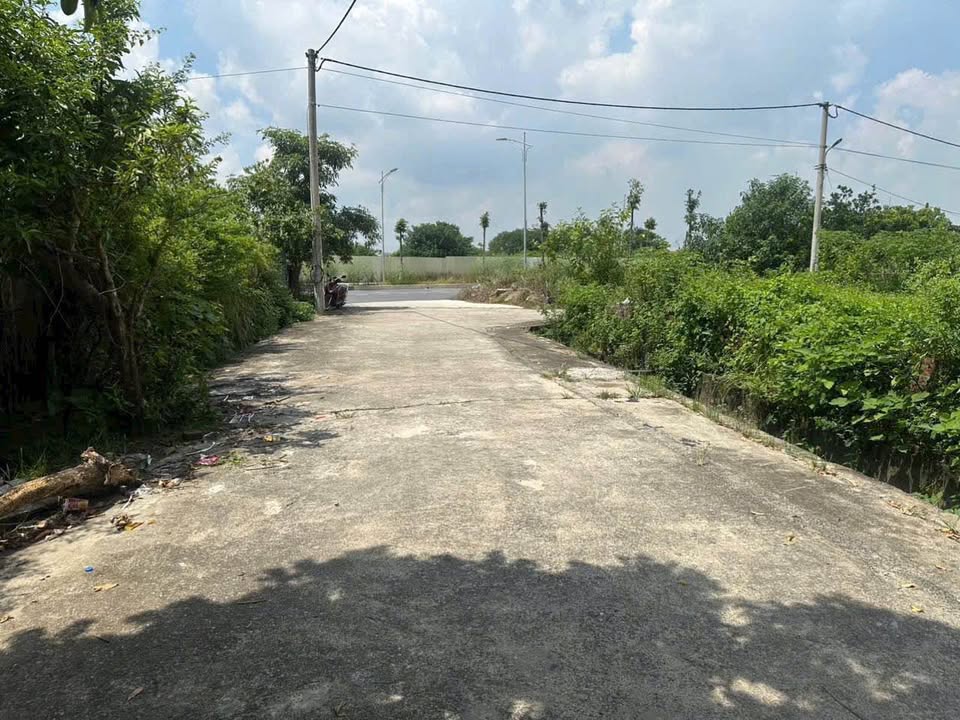 Đất nền Tiên Kha, Đông Anh 83m² giá chỉ 1.5 tỷ - Đầu tư tiềm năng lớn!