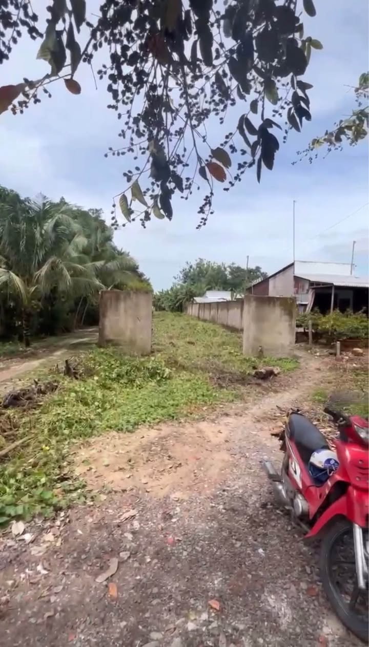 Đất thổ cư mặt tiền Tỉnh lộ 943, An Giang 3790m² giá 4.5 tỷ - Sổ hồng chính chủ