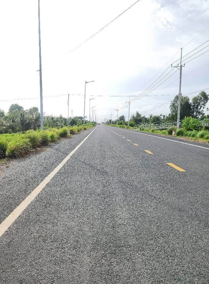 Đất vườn mặt tiền Đê Quốc Phòng - Võ Trường Toản 599m² giá thỏa thuận - Cơ hội đầu tư tuyệt vời!