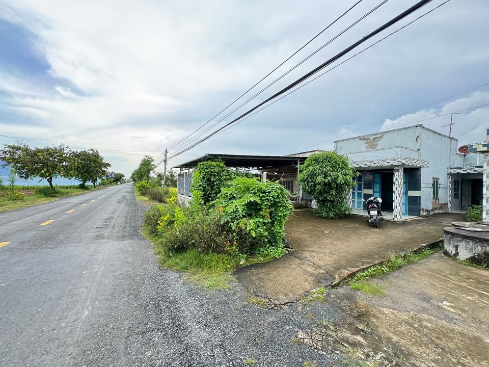 Cho thuê nhà mặt tiền đường HL02, xã Tân Điền, 224m² - Giá chỉ 1.5 triệu/tháng!