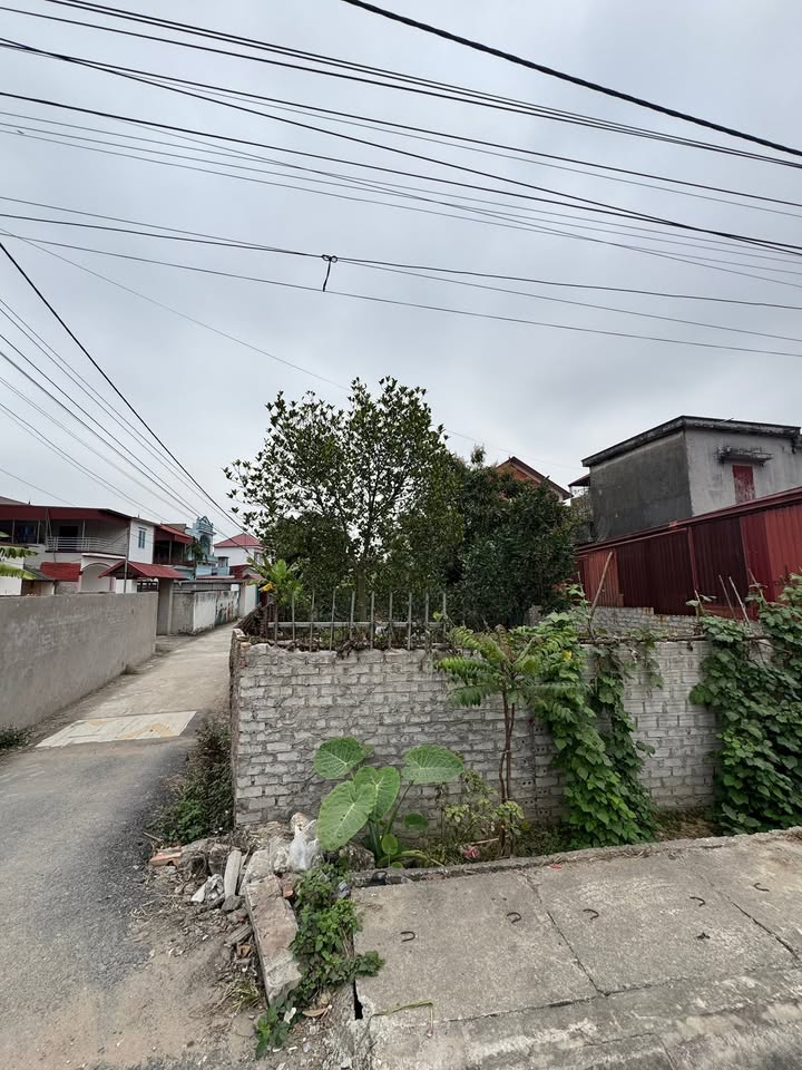 Đất nền góc 118m² tại KCN Đức Giang, giá 3 tỷ - Đầu tư sinh lời ngay!