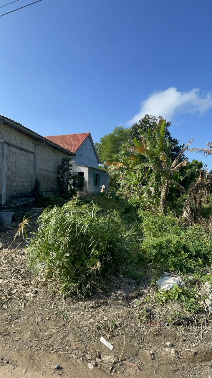 Đất nền Thủy Phù 132m² giá 600 triệu - Cơ hội đầu tư hấp dẫn!