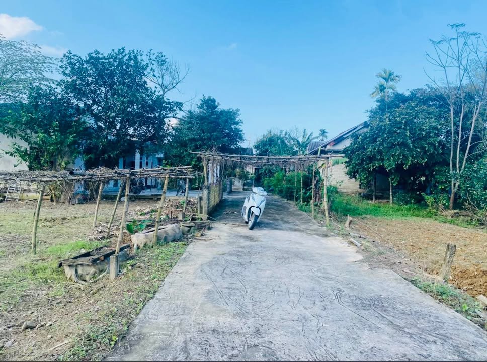 Đất TDP Giáp Tư – Hương Văn 134m² giá chỉ 670 triệu - Sổ hồng chính chủ!