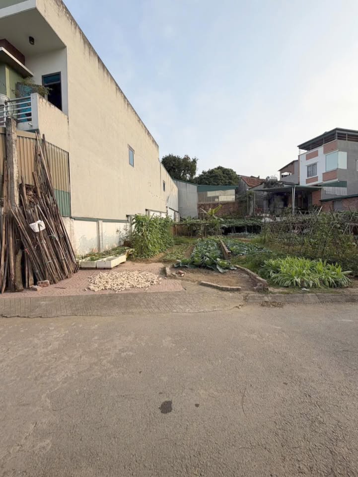 Đất Lăng Cẩm, Phường Gia Cẩm, 75m² giá 3 tỷ - Sổ hồng chính chủ, vị trí đắc địa!