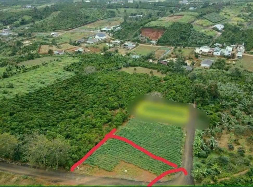 Đất thổ cư Phường 2 Bảo Lộc 242m² giá 1.15 tỷ - Mặt tiền nở hậu lý tưởng!