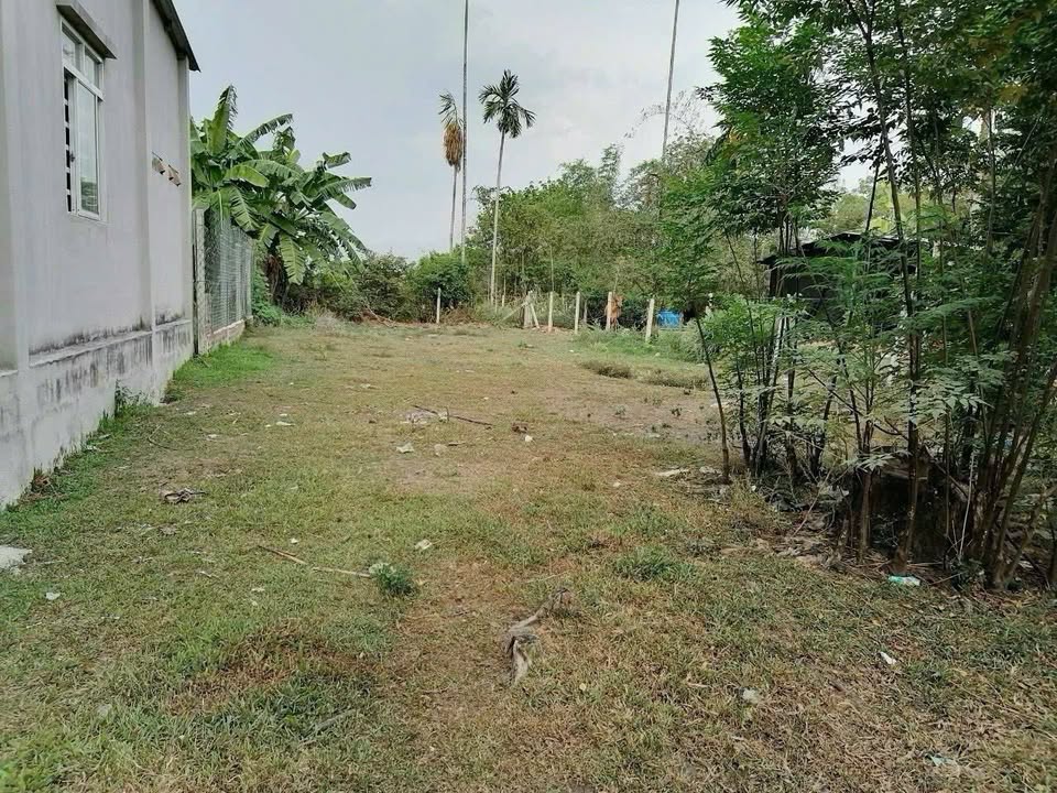 Đất nền xã Trung Lập Thượng, Củ Chi 513m² giá 2.3 tỷ - Đầu tư sinh lời ngay!