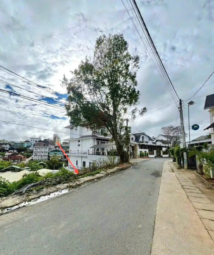 Đất mặt tiền Trần Khánh Dư, Đà Lạt 222m² giá 13.5 tỷ - Cơ hội đầu tư tuyệt vời!