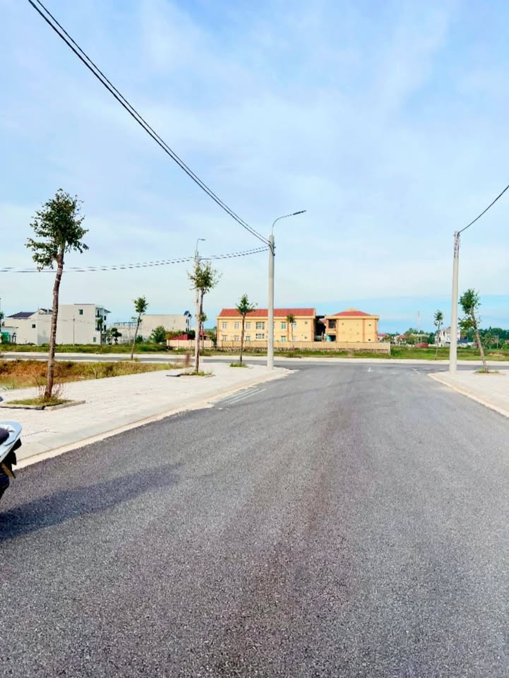 Đất nền mặt bằng Hoa Mai, Huyện Hậu Lộc, 100m² giá 1.6 tỷ - Cơ hội đầu tư hấp dẫn!