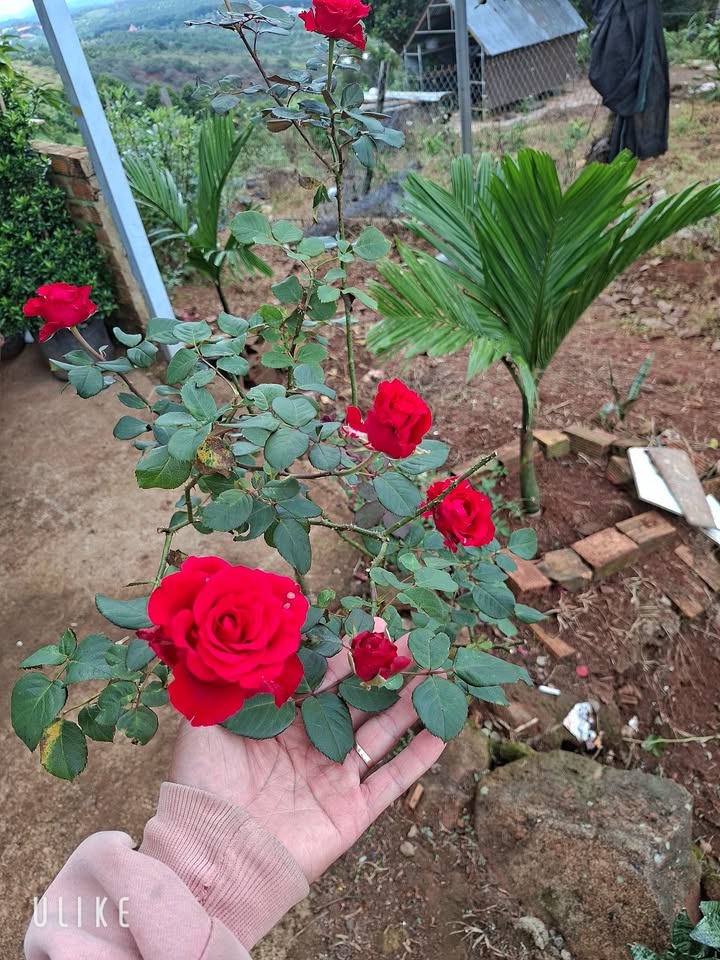 Đất nền xã Phước Cát 2, Huyện Đạ Huoai 2170m² giá 1.9 tỷ - Cơ hội đầu tư tuyệt vời!