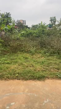 Đất Nghi Mỹ Huyện Nghi Lộc 167m² giá 1.1 tỷ - Cơ hội vàng cho đầu tư!