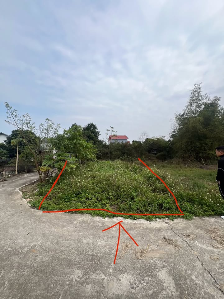 Đất thổ cư 150m² xã Xuân Cẩm, Bắc Ninh giá 700 triệu - Vị trí thuận lợi sống và đầu tư!