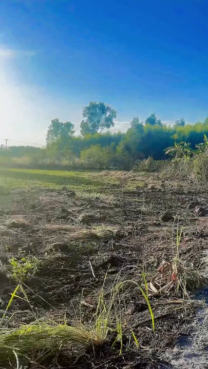 Đất nền 3 sào Đường Đá Mi, Quận 4, 1.080m² giá chỉ 600 triệu - Cơ hội đầu tư tuyệt vời!