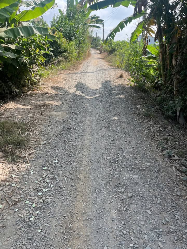 Đất nông nghiệp 2000m² xã Mỹ Hiệp, Đồng Tháp giá 900 triệu - Mặt tiền rộng, tiện ích đầy đủ!