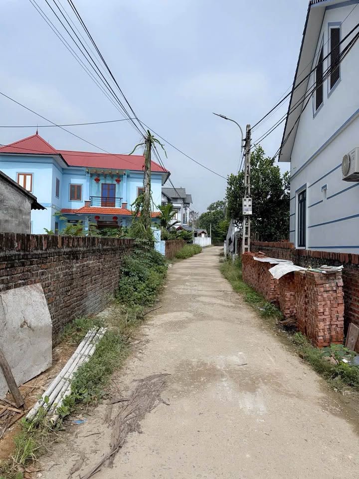 Đất nền Cửu Yên 2 - Huyện Tam Đảo 102m² giá chỉ 7xx triệu - Đường ô tô tránh thoải mái!