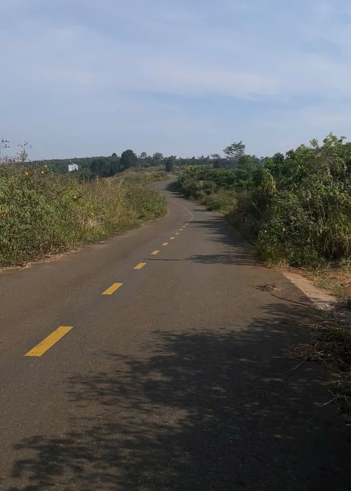 Đất nền đường Nguyễn Trãi, Bảo Lộc 2160m² giá 6.39 tỷ - Đầu tư lý tưởng!