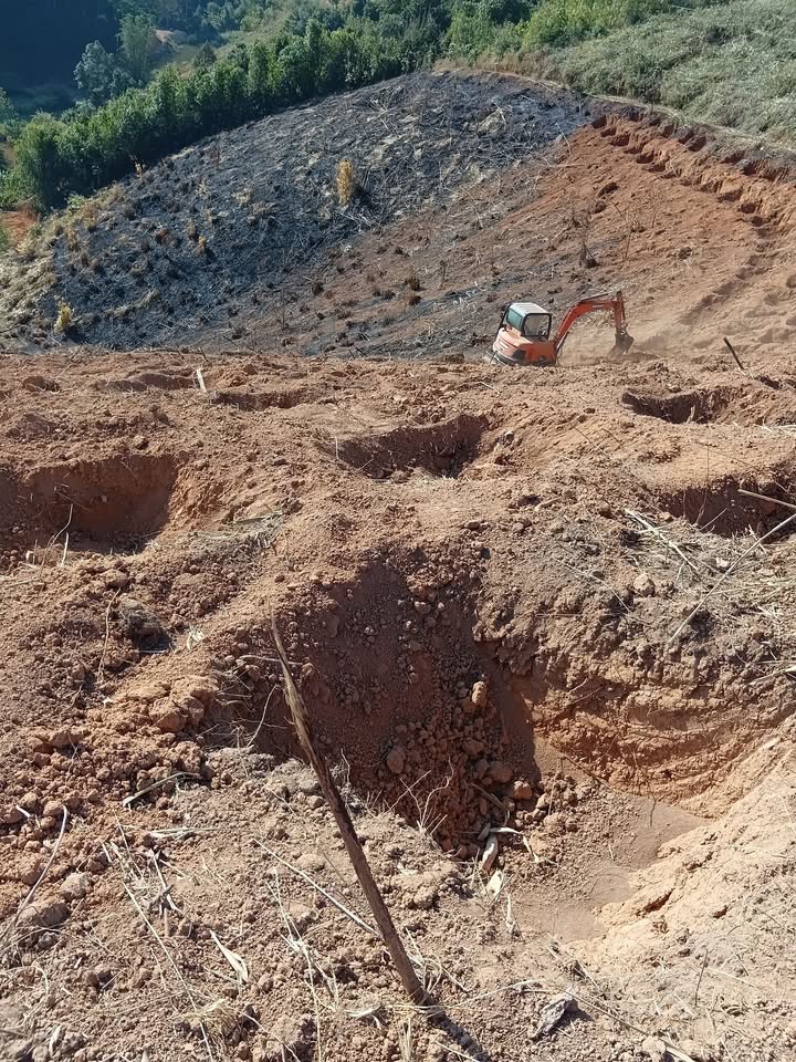 Mảnh đất nông nghiệp 1,5ha tại Xã Bờ Y, Huyện Ngọc Hồi, Kon Tum - Giá tốt, thuận tiện mua bán!