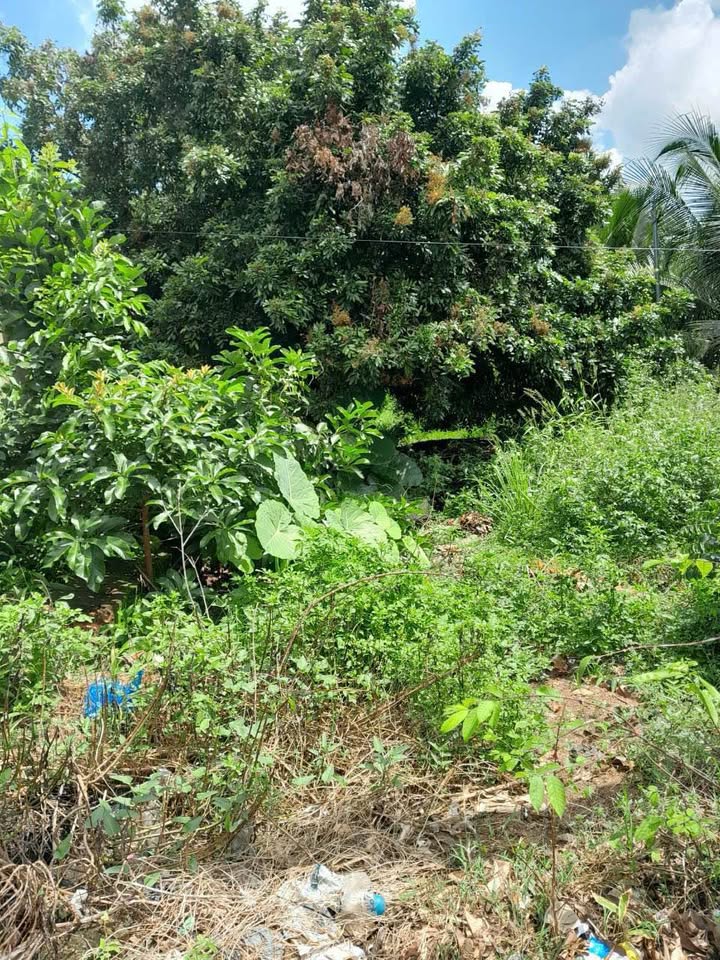 Đất nền Trục Chính nhà văn hoá Suối Cam, 952.5m² giá 1.05 tỷ - Tiềm năng đầu tư lớn!