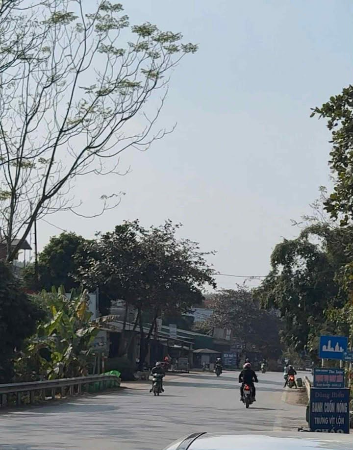 Đất mặt đường kinh doanh tại Phường Nông Tiến, Tuyên Quang 252m² - Giá 3 tỷ thương lượng!