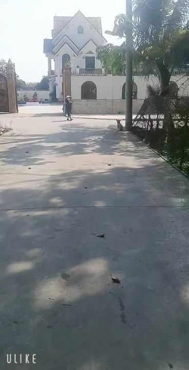 Đất nền Vĩnh Tân 4000m² mặt tiền 90m - Cơ hội đầu tư tuyệt vời!