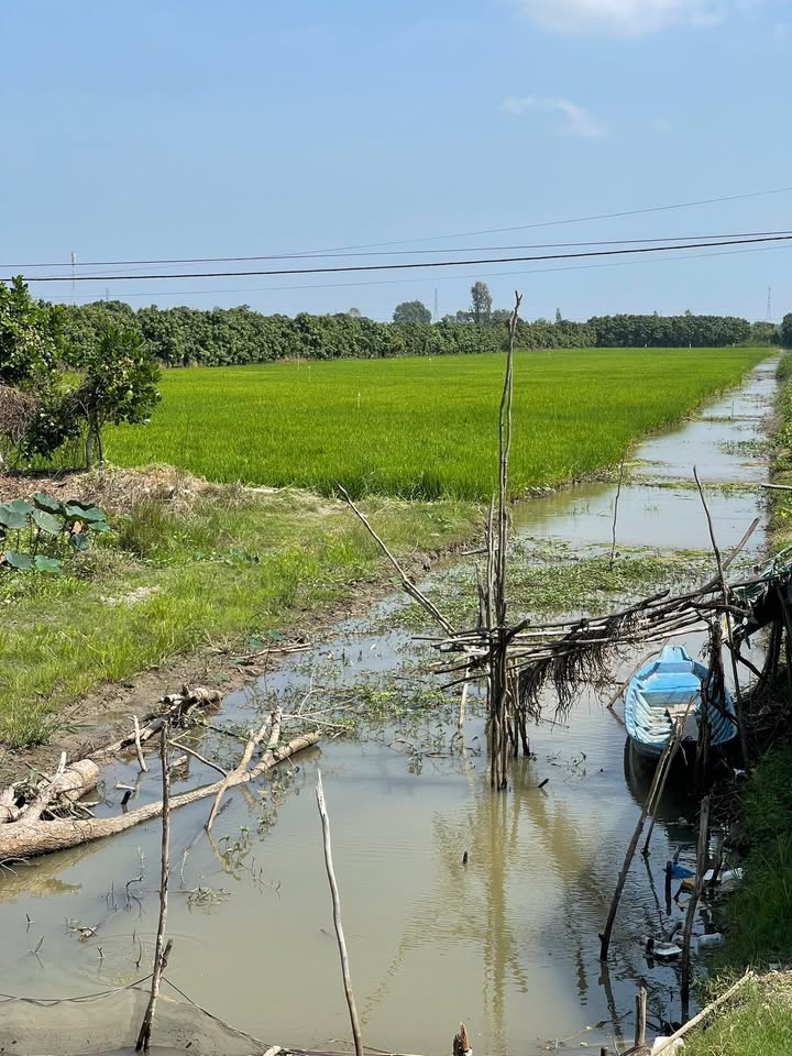 Đất nông nghiệp 20 công Nông trường Sông Hậu - Giá chỉ 3 tỷ