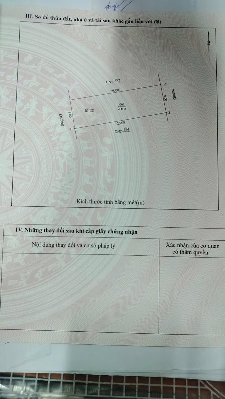 Lô đất đấu giá cũ Xóm Trường An, Nghi Trường 200m² giá 2.3 tỷ - Cơ hội đầu tư tuyệt vời!