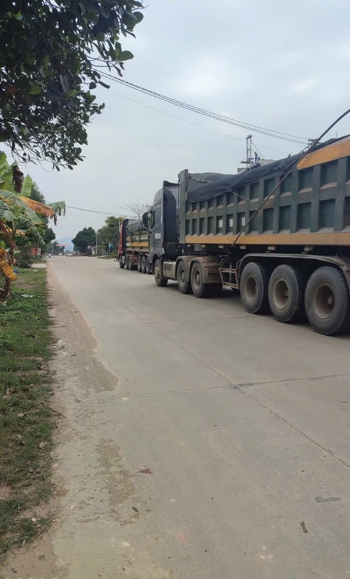 Đất nền thổ cư 100m² tại Tỉnh lộ 293, Lục Nam - Vị trí kinh doanh thuận lợi!