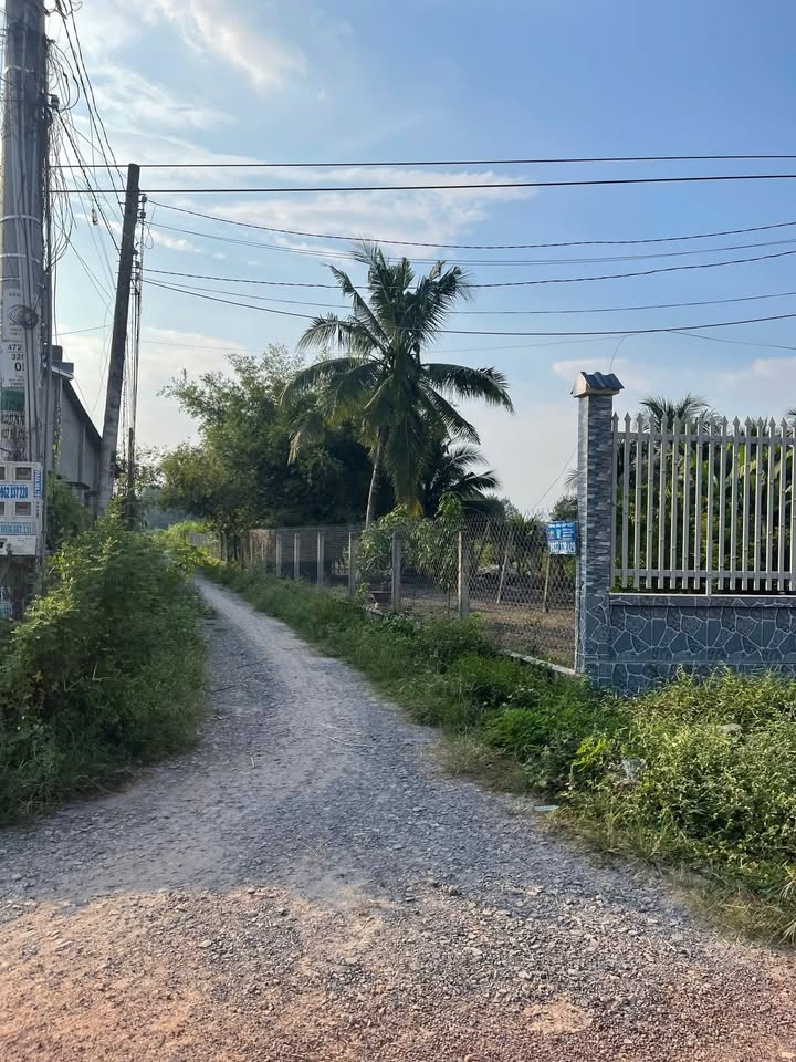 Đất thổ cư 525m² tại An Bình, Trảng Bàng - Cơ hội đầu tư không thể bỏ lỡ!