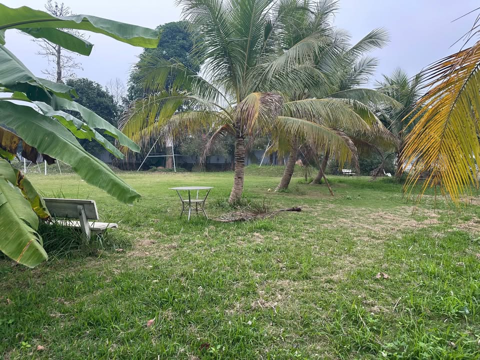 Đất nền xã Yên Bài, Ba Vì 3000m² - Chính chủ, sổ đỏ