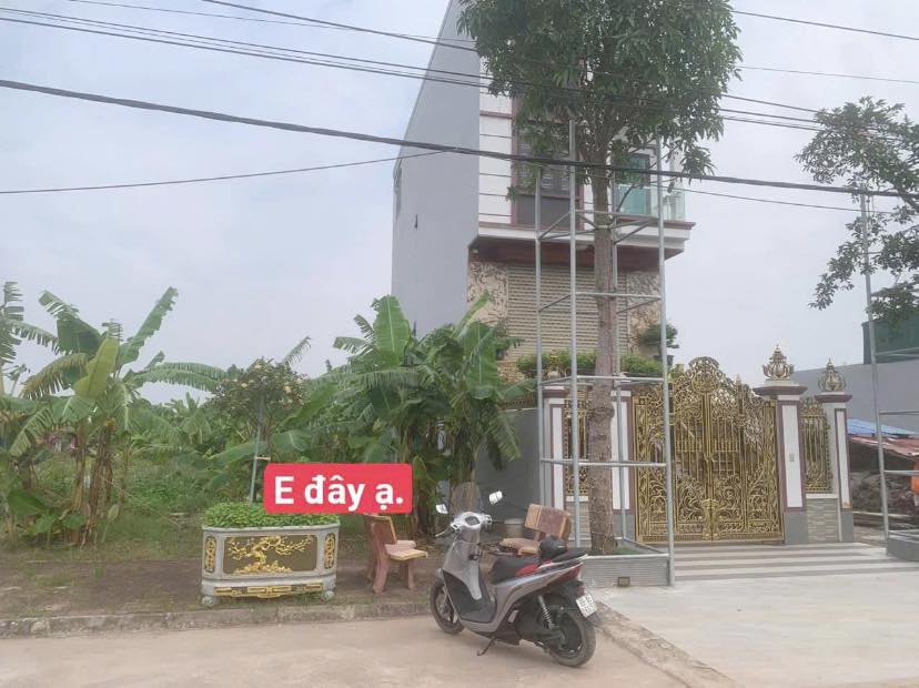 Đất nền tại xã Đức Hợp, huyện Kim Động - 105m² giá 3 tỷ - Cơ hội đầu tư hiếm có!