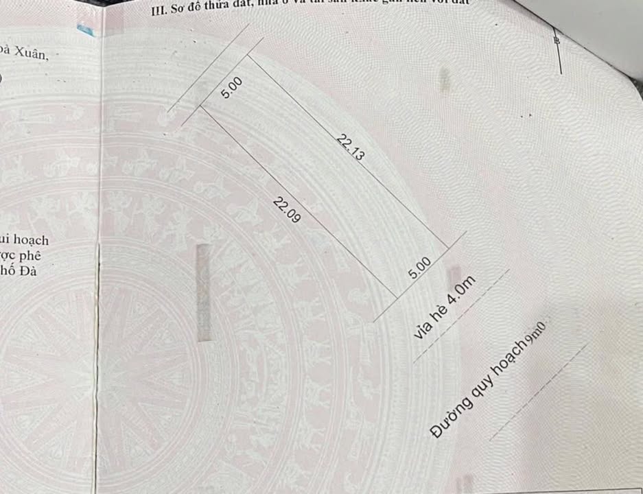 Đất nền mặt tiền Đường 29/3, Quận Cẩm Lệ, 110.5m² - Giá chỉ 900 triệu!