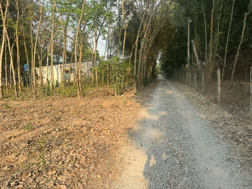 Đất nền Phường An Điền Bến Cát 748m² giá 1.1 tỷ - Nắm bắt cơ hội đầu tư!