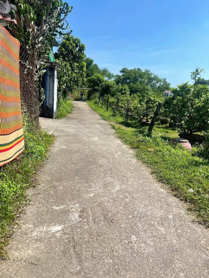 Đất nền La Thọ 1, Điện Hòa 120m² giá 700 triệu - Cơ hội cho VC trẻ ra riêng!