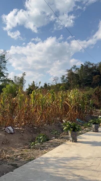 Đất nền Him Lam 2, 100m² giá 310 triệu - Sổ đỏ chính chủ!