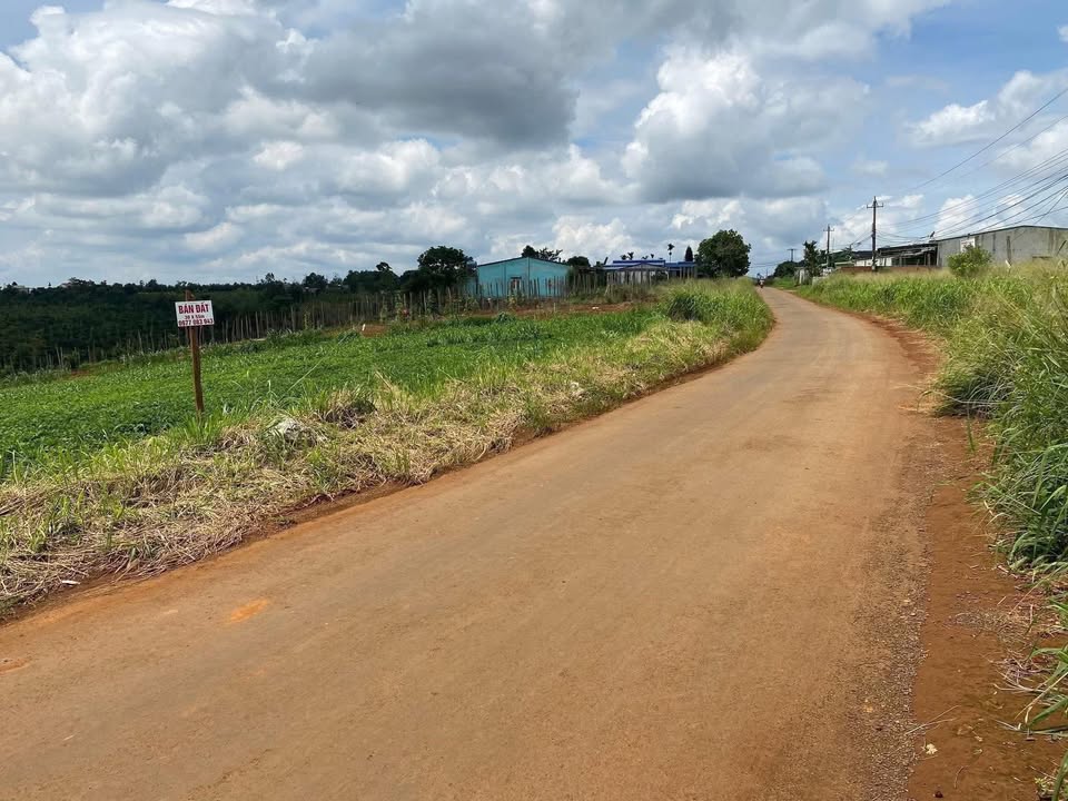 Đất nền 1750m² tại xã Ea Drông, Thị Xã Buôn Hồ - Giá đầu tư hấp dẫn!