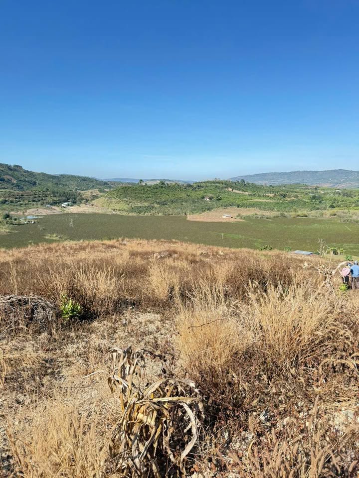 Đất Farm Tân Lập 1.8ha giá 1.8 tỷ - Đầu tư sinh lời hấp dẫn!